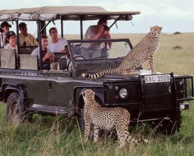 Tourism Boosting in Maasai Mara