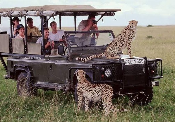 Tourism Boosting in Maasai Mara