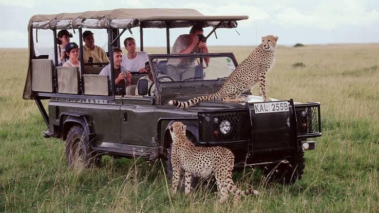 Tourism Boosting in Maasai Mara