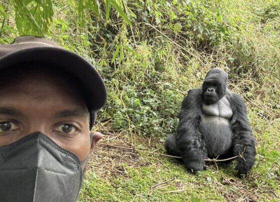 African Tourism to grow in 2024