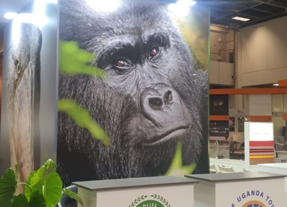 January 2024 travel trade shows