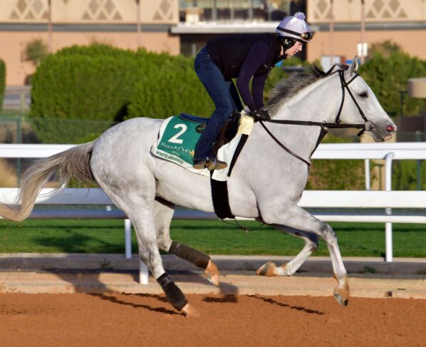 World’s richest horse race