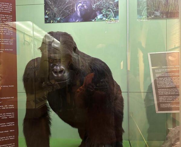 Uganda national museum