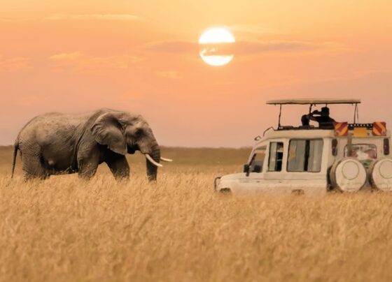 East Africa's Top 5 National Parks