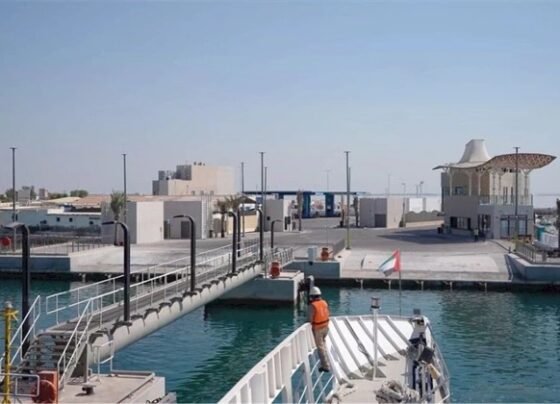 Abu Dhabi's Al Aliah Island