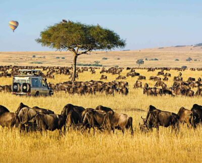 Luxury African Safari
