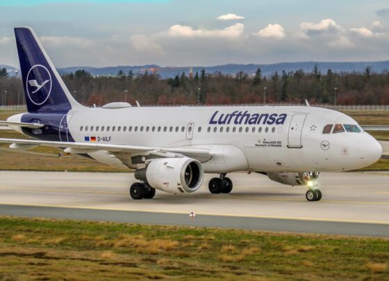 Hand grenade Joke at Frankfurt Airport