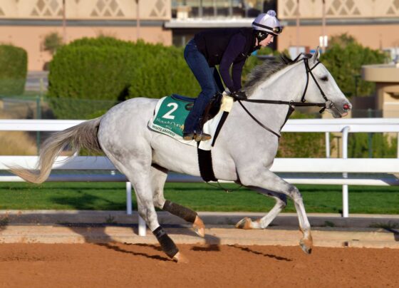 World’s richest horse race