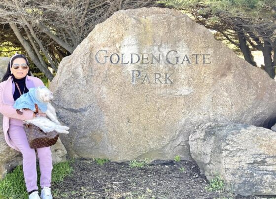 Golden Gate Park