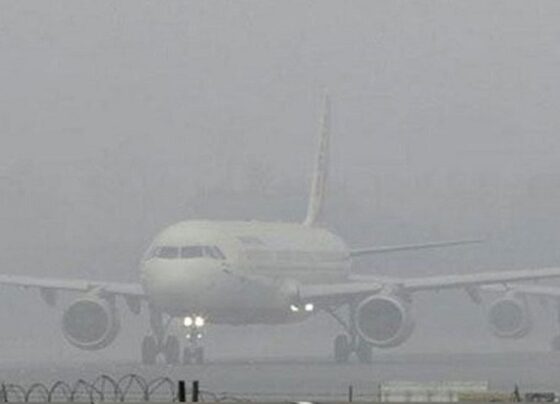 Fog causes cancellation of over 20 flights at Heathrow Airport