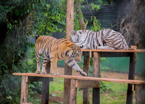 Revised Entry Fees for UWEC Entebbe Zoo