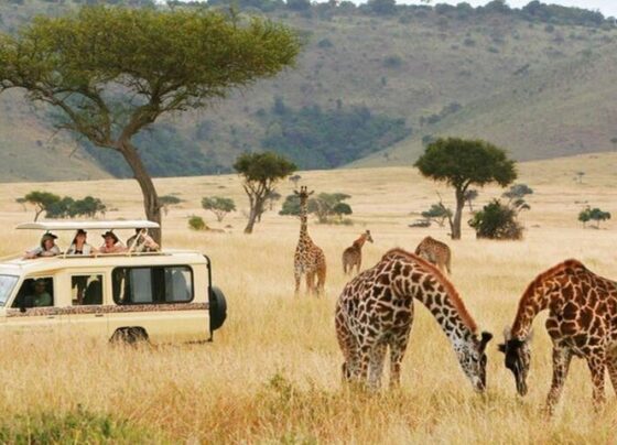 Tanzania asks Tourists to pay using local currency