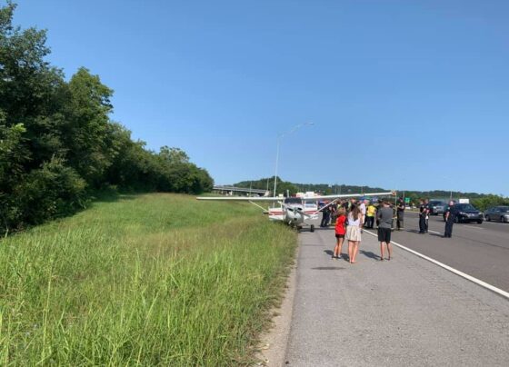 Plane packed with narcotics