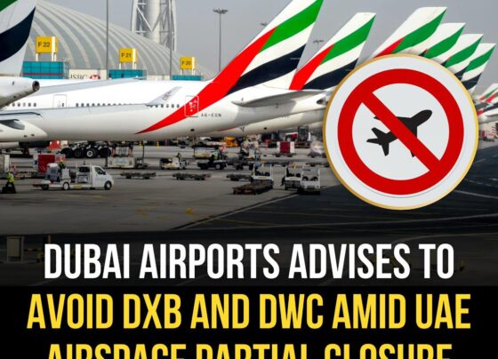Dubai suspends flights